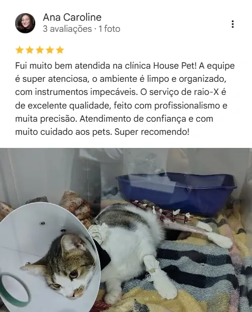 Avaliação de cliente no Google sobre a House Pet