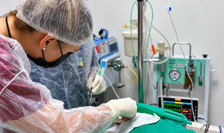 Veterinária em procedimento com um cão na House Pet