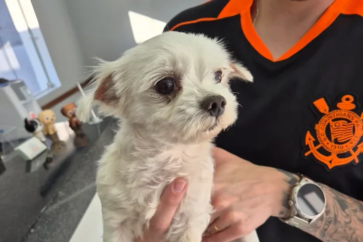 Tutor com seu cãozinho na House Pet