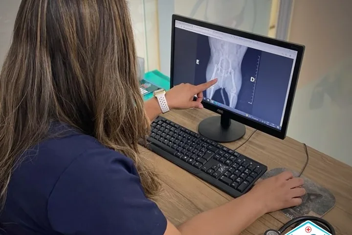 Veterinária analisando um exame de raio-x